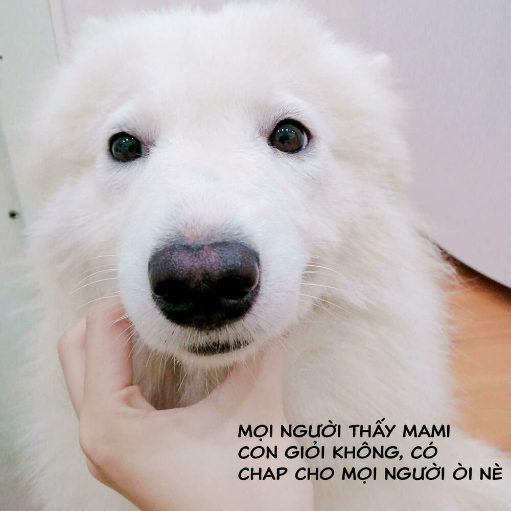 đọc truyện Độc Y Đích Nữ Chương 15 ảnh 38 tại Thiên Thai Truyện