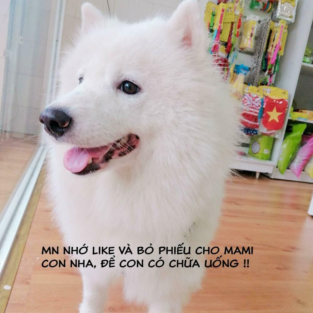 đọc truyện Độc Y Đích Nữ Chương 15 ảnh 39 tại Thiên Thai Truyện