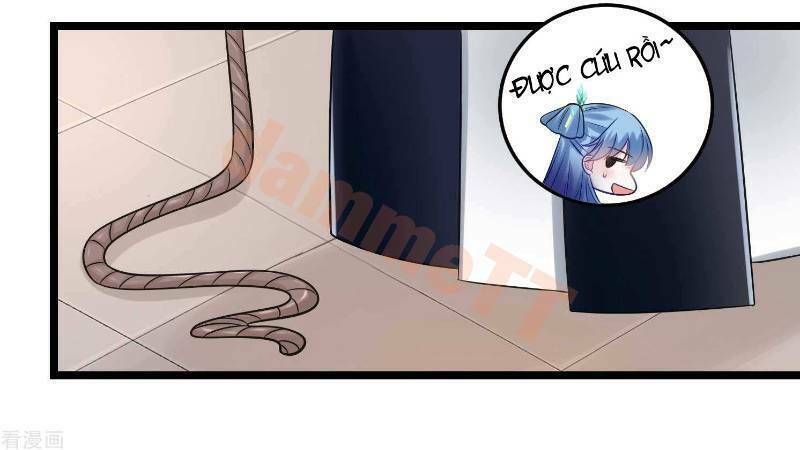 đọc truyện Độc Y Đích Nữ Chương 62 ảnh 23 tại Thiên Thai Truyện