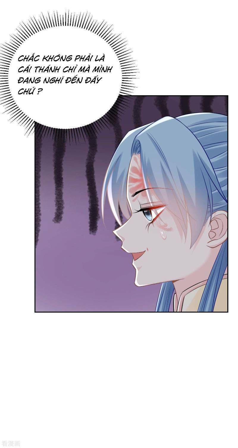 đọc truyện Độc Y Đích Nữ Chương 88 ảnh 9 tại Thiên Thai Truyện