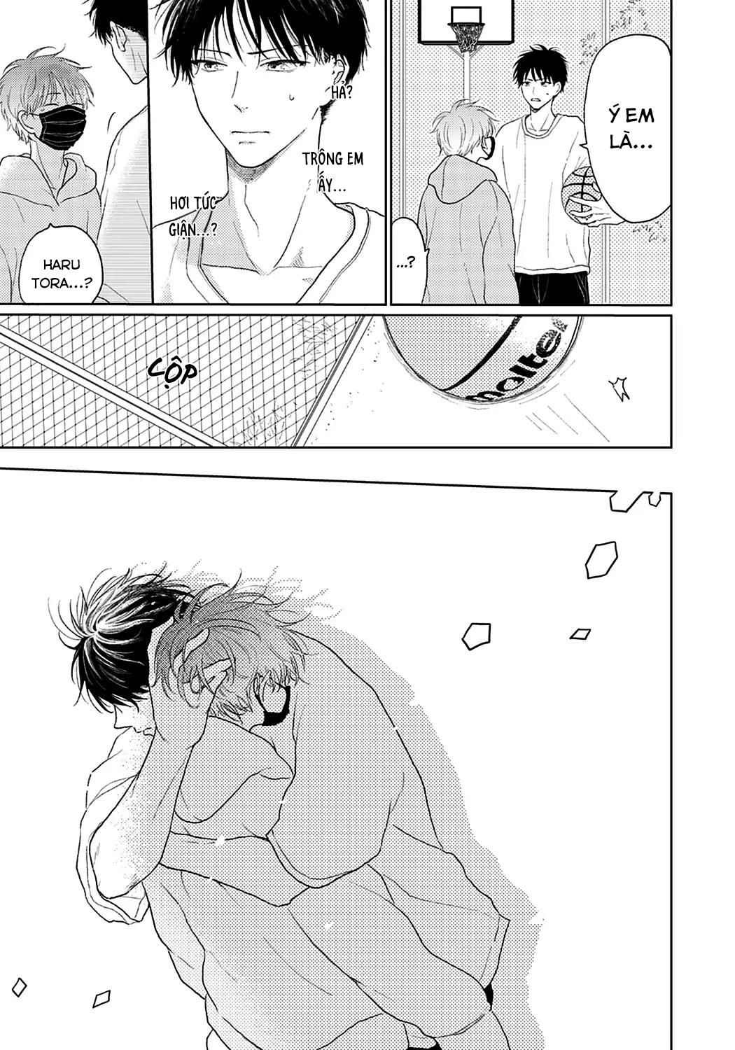 đọc truyện Đợi Chút Đã, Harutora-kun (end) Chương 2 ảnh 13 tại Truyện Dạ Ký