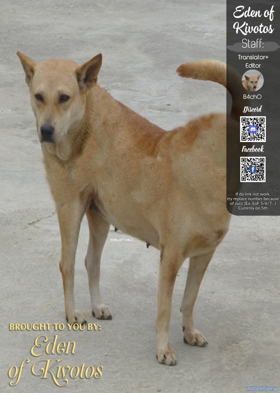 đọc truyện Đơn Giản Là Bộ Truyện Về Sếch Azusa! Chương 1 ảnh 24 tại Thiên Thai Truyện