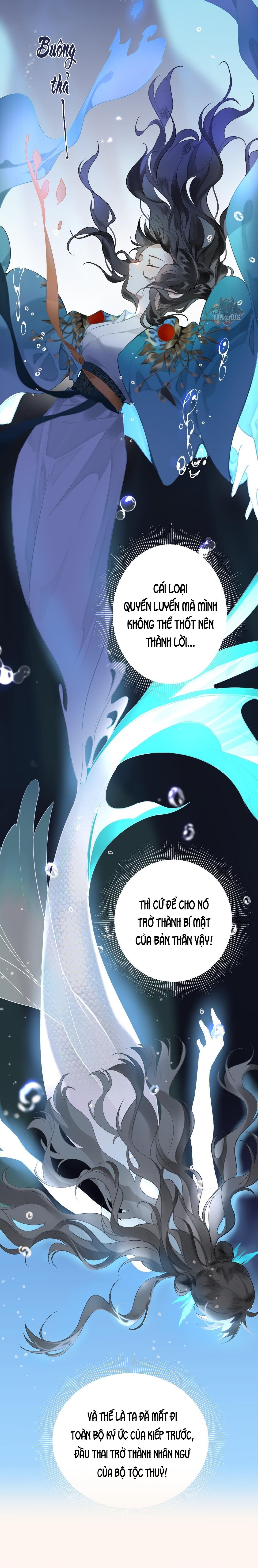 đọc truyện Đông Hải Tìm Mỹ Nhân Chương 1 ảnh 7 tại Thiên Thai Truyện