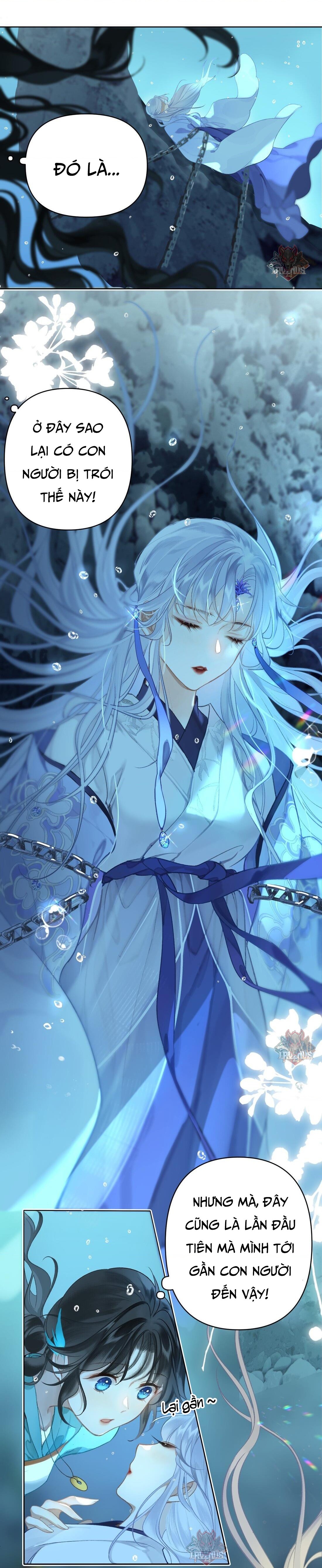 đọc truyện Đông Hải Tìm Mỹ Nhân Chương 1 ảnh 11 tại Thiên Thai Truyện