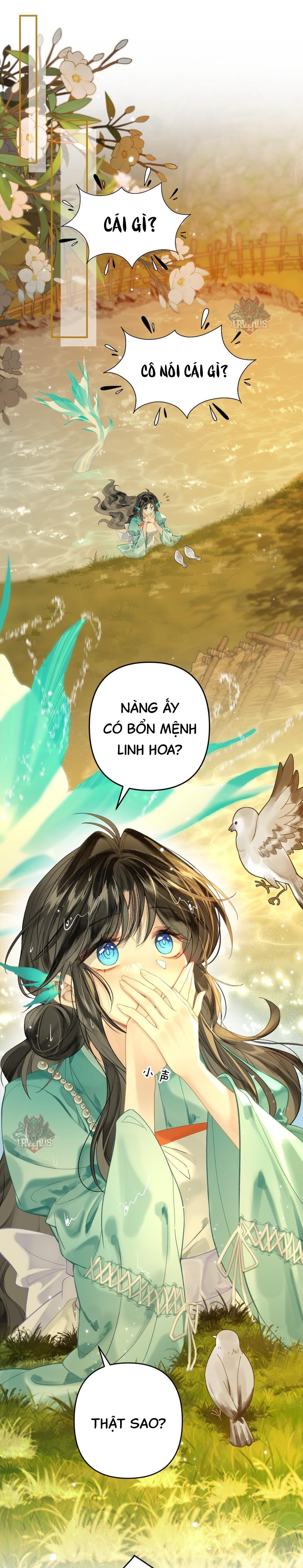 đọc truyện Đông Hải Tìm Mỹ Nhân Chương 12 ảnh 8 tại Thiên Thai Truyện