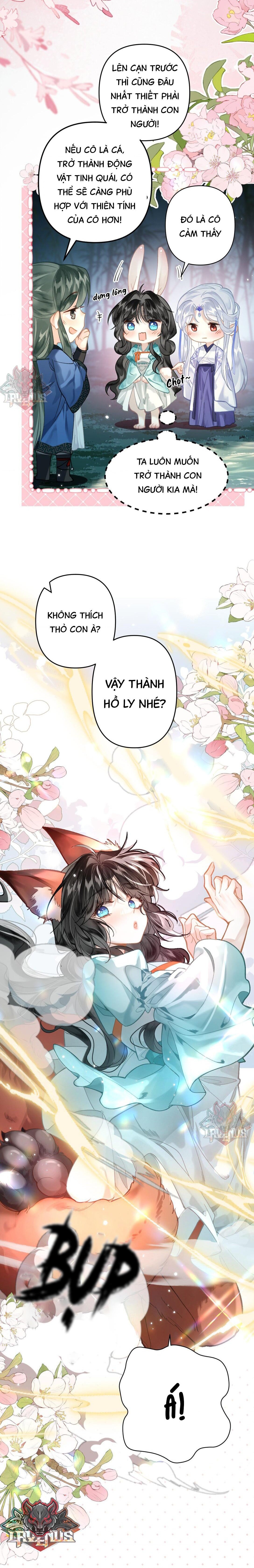 đọc truyện Đông Hải Tìm Mỹ Nhân Chương 14 ảnh 12 tại Thiên Thai Truyện