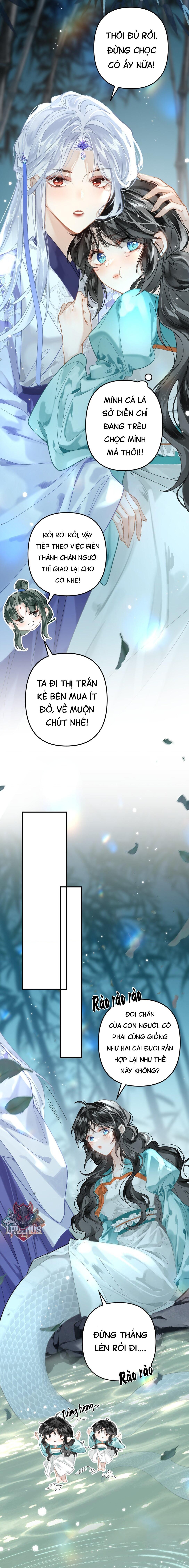 đọc truyện Đông Hải Tìm Mỹ Nhân Chương 14 ảnh 16 tại Thiên Thai Truyện