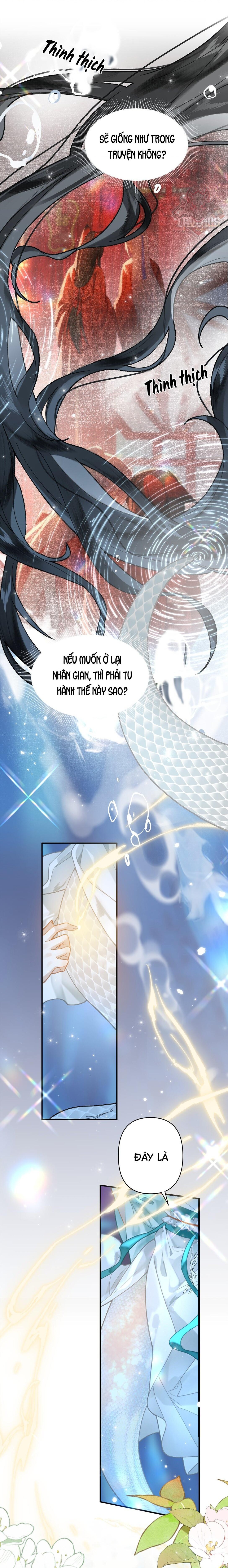 đọc truyện Đông Hải Tìm Mỹ Nhân Chương 14 ảnh 21 tại Thiên Thai Truyện