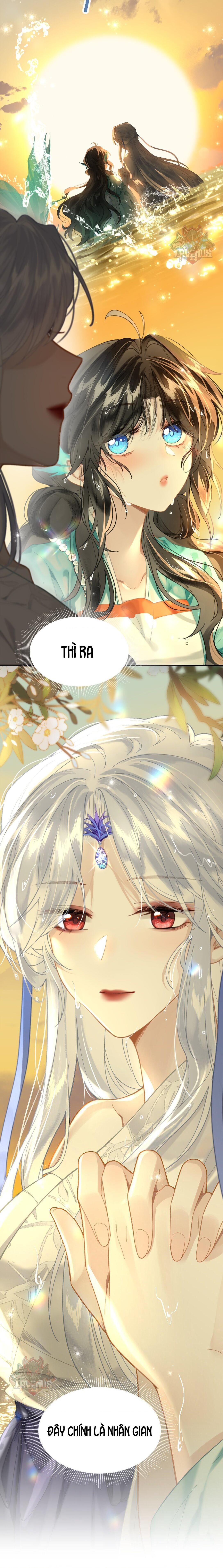 đọc truyện Đông Hải Tìm Mỹ Nhân Chương 14 ảnh 9 tại Thiên Thai Truyện