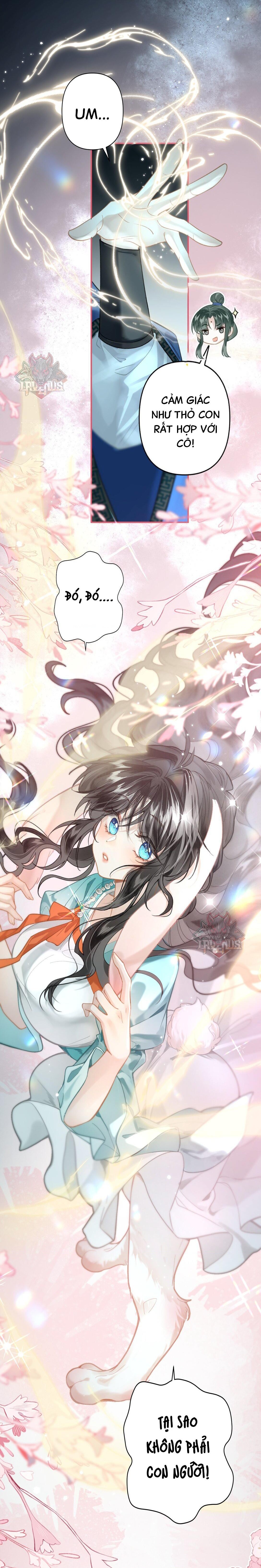 đọc truyện Đông Hải Tìm Mỹ Nhân Chương 14 ảnh 11 tại Thiên Thai Truyện