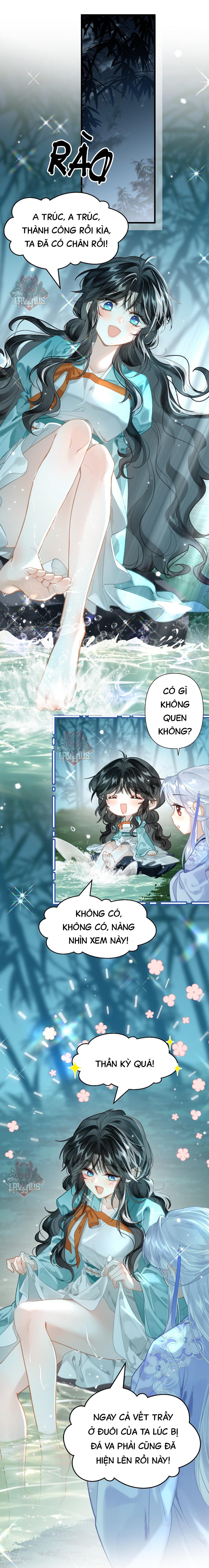 đọc truyện Đông Hải Tìm Mỹ Nhân Chương 15 ảnh 3 tại Thiên Thai Truyện