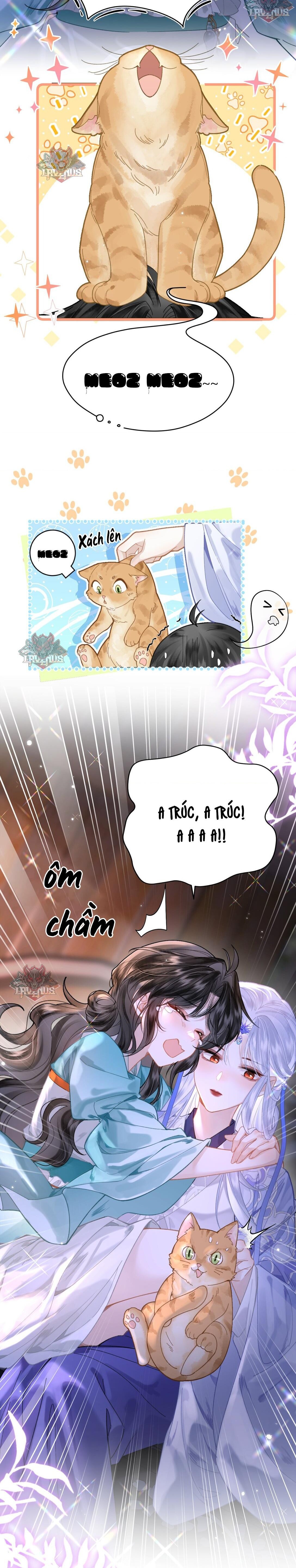 đọc truyện Đông Hải Tìm Mỹ Nhân Chương 17 ảnh 8 tại Thiên Thai Truyện