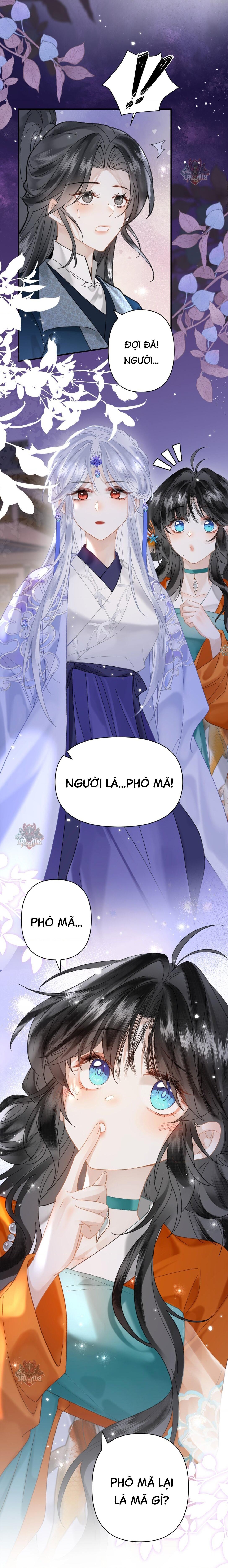 đọc truyện Đông Hải Tìm Mỹ Nhân Chương 22 ảnh 17 tại Thiên Thai Truyện