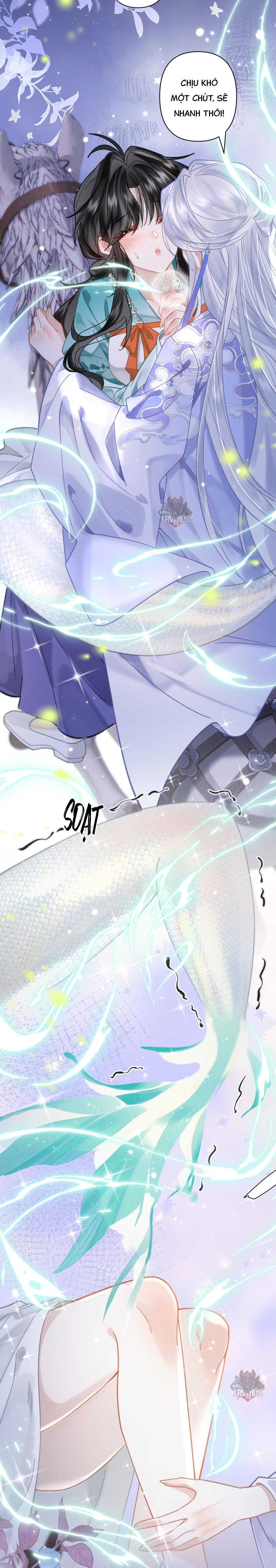 đọc truyện Đông Hải Tìm Mỹ Nhân Chương 22 ảnh 8 tại Thiên Thai Truyện