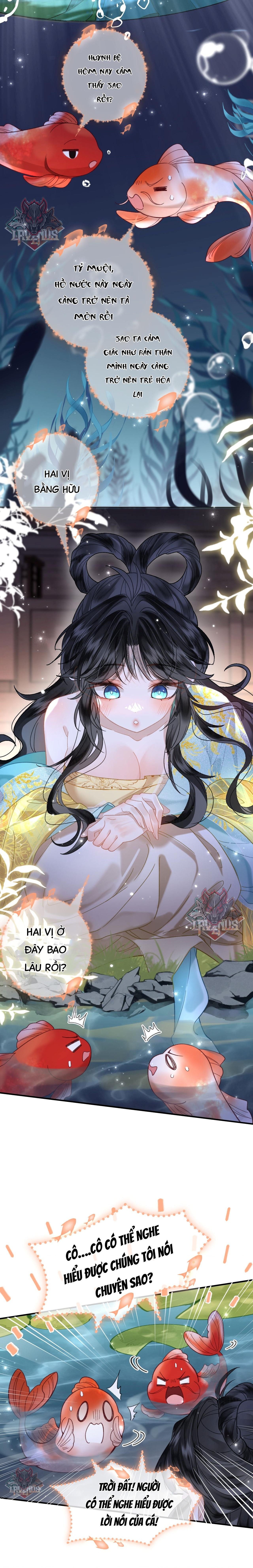 đọc truyện Đông Hải Tìm Mỹ Nhân Chương 26 ảnh 9 tại Thiên Thai Truyện