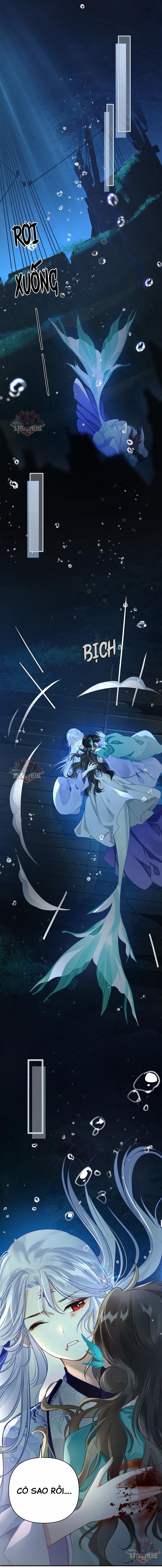 đọc truyện Đông Hải Tìm Mỹ Nhân Chương 5 ảnh 10 tại Thiên Thai Truyện