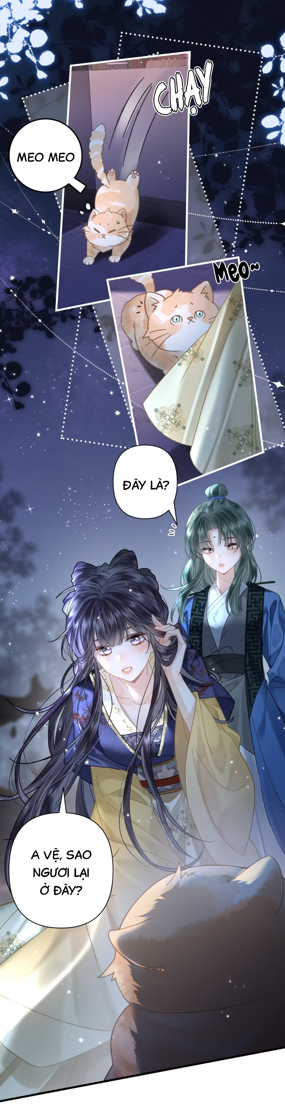 đọc truyện Đông Hải Tìm Mỹ Nhân Chương 52 ảnh 6 tại Thiên Thai Truyện