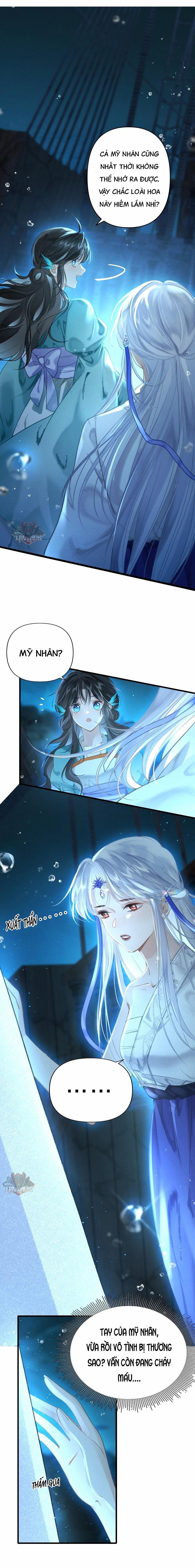 đọc truyện Đông Hải Tìm Mỹ Nhân Chương 6 ảnh 12 tại Thiên Thai Truyện