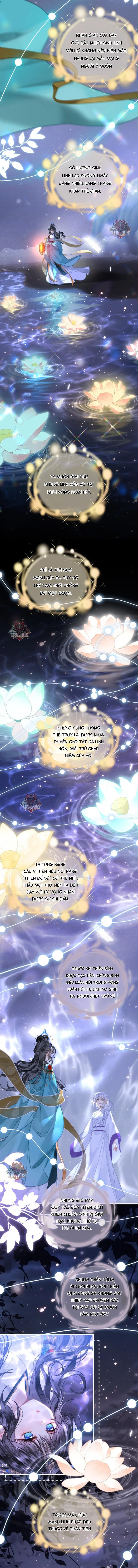 đọc truyện Đông Hải Tìm Mỹ Nhân Chương 66 ảnh 5 tại Thiên Thai Truyện