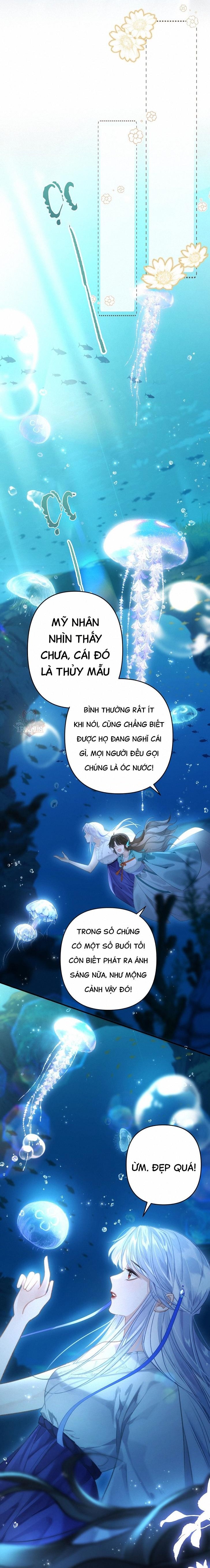 đọc truyện Đông Hải Tìm Mỹ Nhân Chương 8 ảnh 17 tại Thiên Thai Truyện