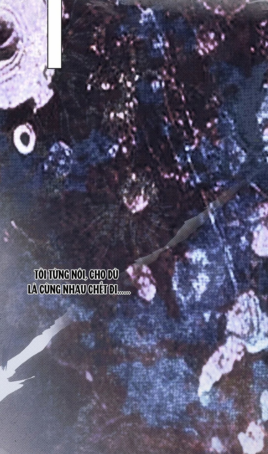 đọc truyện Đồng Loại Chương 53 ảnh 54 tại Thiên Thai Truyện