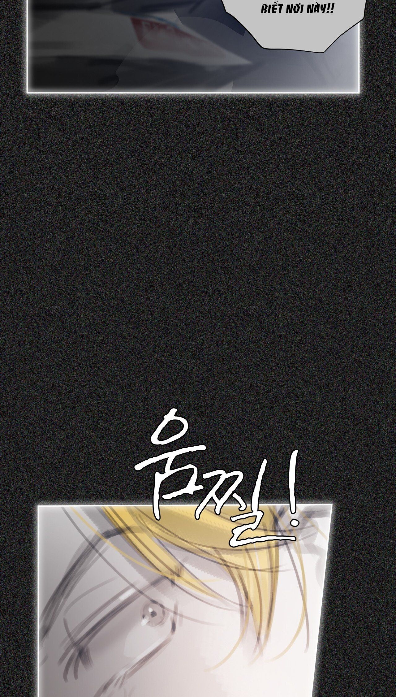 Doppio Senso Chương 72.2 page 14 - Giả Dược