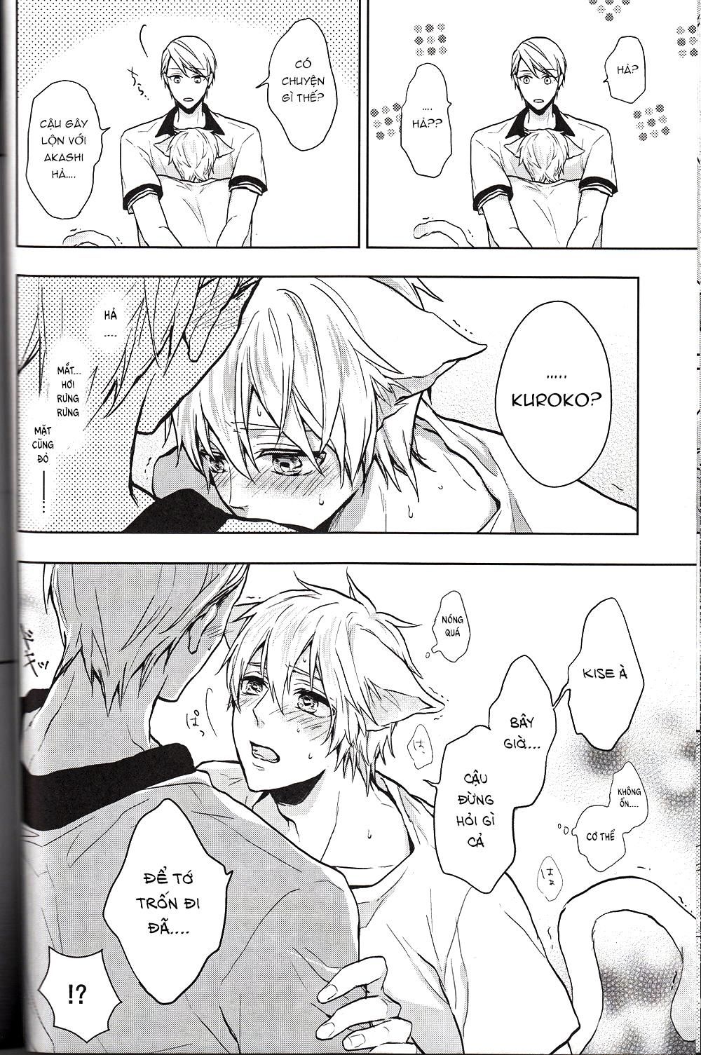 đọc truyện Doujinshi Của Kuroko No Basket Ball Chương 6 ảnh 12 tại Truyện Dạ Ký