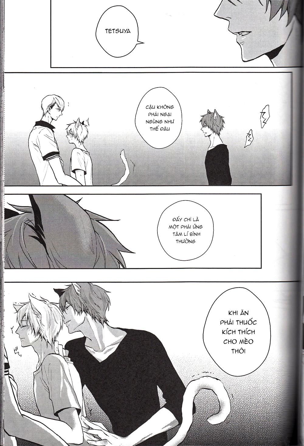 đọc truyện Doujinshi Của Kuroko No Basket Ball Chương 6 ảnh 13 tại Truyện Dạ Ký