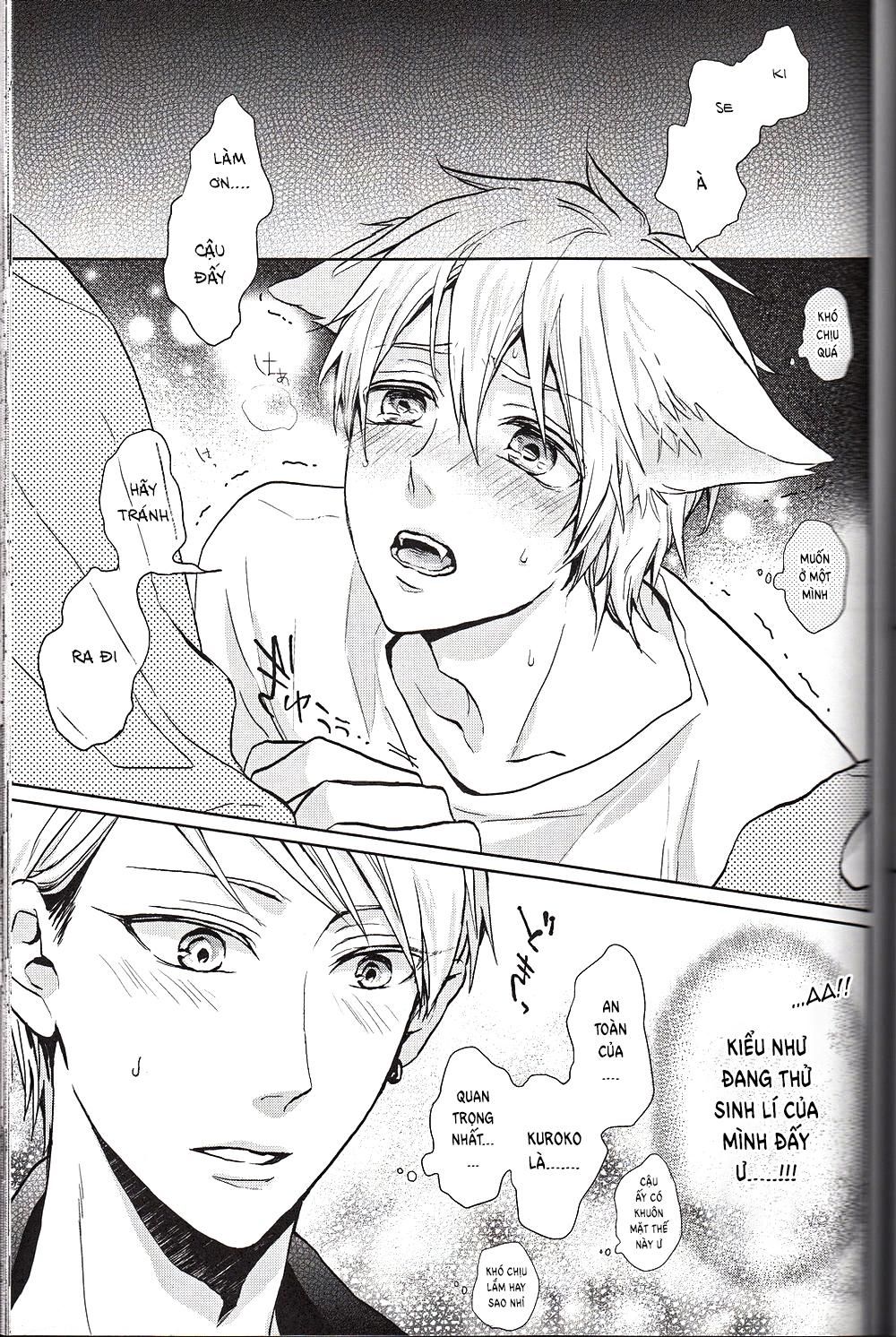 đọc truyện Doujinshi Của Kuroko No Basket Ball Chương 6 ảnh 15 tại Truyện Dạ Ký
