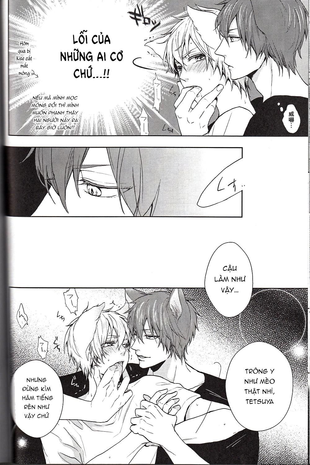 đọc truyện Doujinshi Của Kuroko No Basket Ball Chương 6 ảnh 18 tại Truyện Dạ Ký