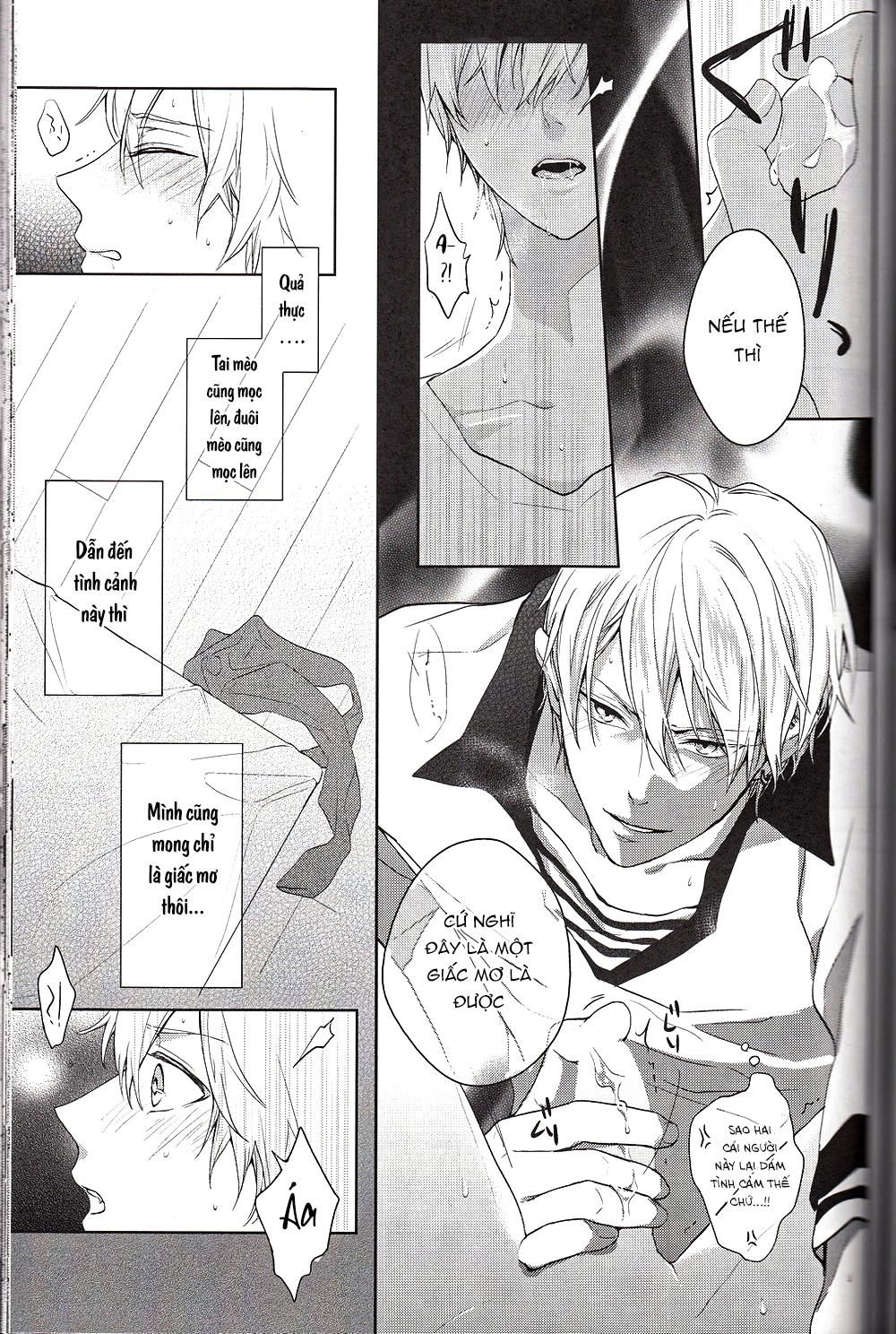 đọc truyện Doujinshi Của Kuroko No Basket Ball Chương 6 ảnh 21 tại Truyện Dạ Ký