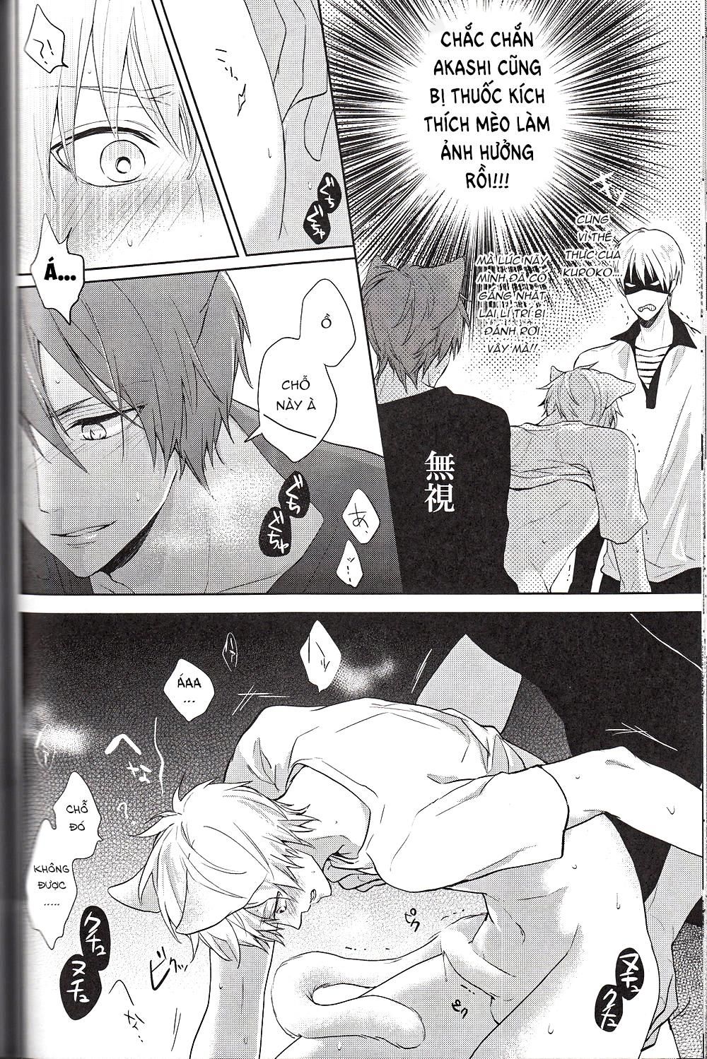 đọc truyện Doujinshi Của Kuroko No Basket Ball Chương 6 ảnh 28 tại Truyện Dạ Ký