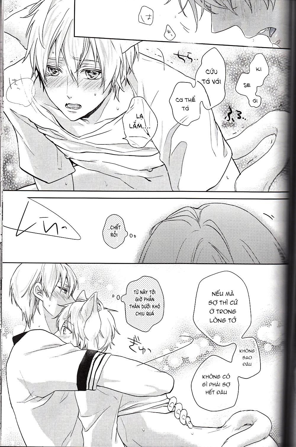 đọc truyện Doujinshi Của Kuroko No Basket Ball Chương 6 ảnh 29 tại Truyện Dạ Ký