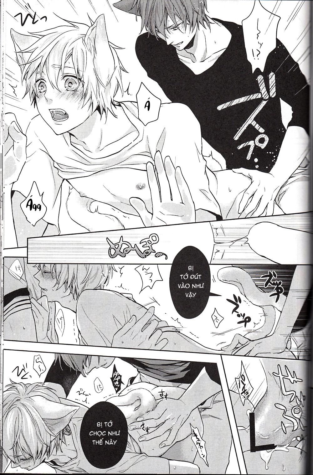 đọc truyện Doujinshi Của Kuroko No Basket Ball Chương 6 ảnh 35 tại Truyện Dạ Ký