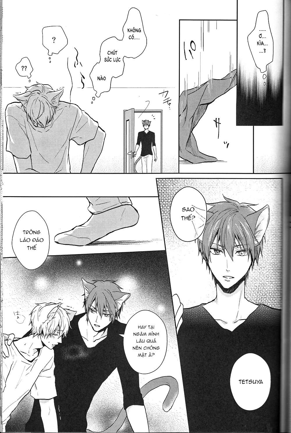 đọc truyện Doujinshi Của Kuroko No Basket Ball Chương 6 ảnh 5 tại Truyện Dạ Ký