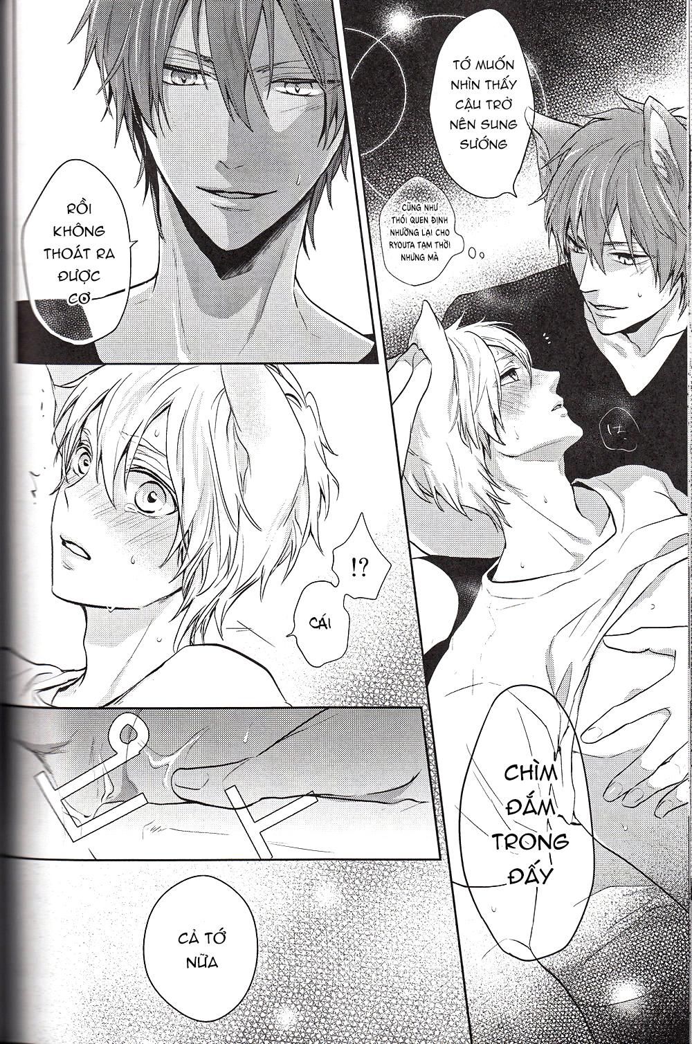 đọc truyện Doujinshi Của Kuroko No Basket Ball Chương 6 ảnh 42 tại Truyện Dạ Ký