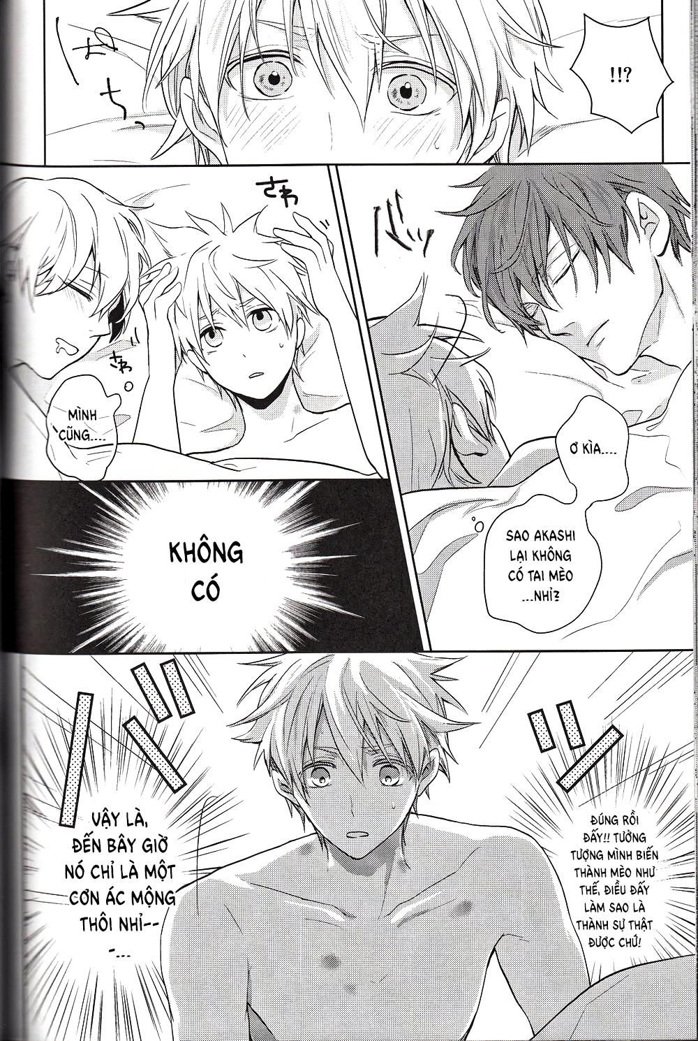 đọc truyện Doujinshi Của Kuroko No Basket Ball Chương 6 ảnh 48 tại Truyện Dạ Ký