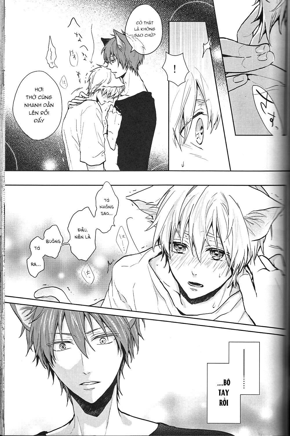 đọc truyện Doujinshi Của Kuroko No Basket Ball Chương 6 ảnh 7 tại Truyện Dạ Ký
