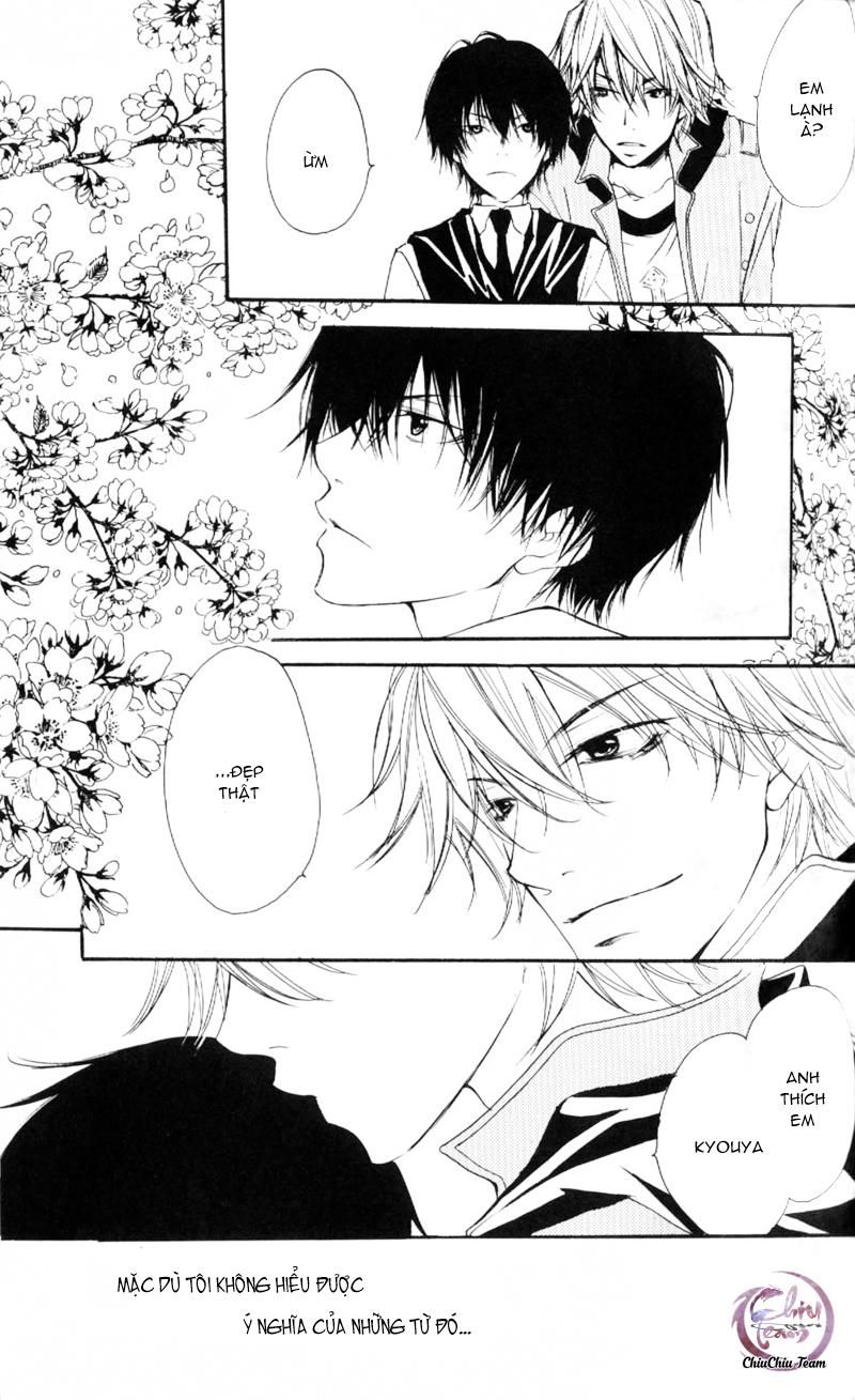 đọc truyện Doujinshi Khr D18  Rigenerare  (allodola Xxx) Chương 1 ảnh 22 tại Truyện Dạ Ký