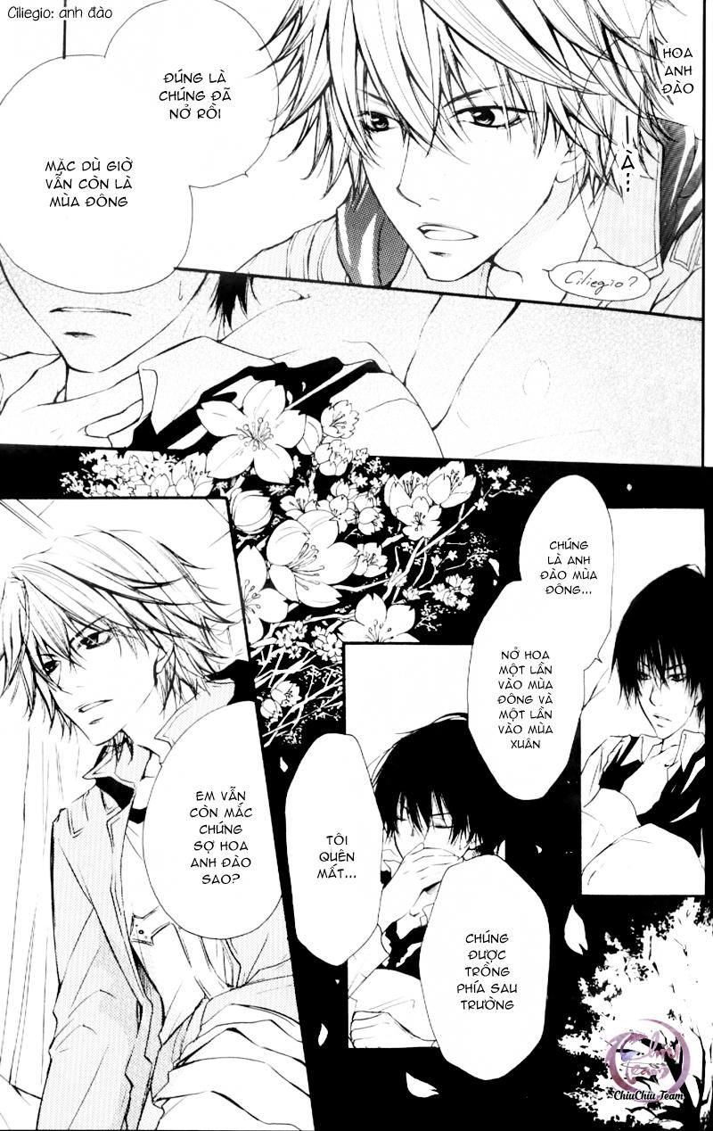 đọc truyện Doujinshi Khr D18  Rigenerare  (allodola Xxx) Chương 1 ảnh 8 tại Truyện Dạ Ký