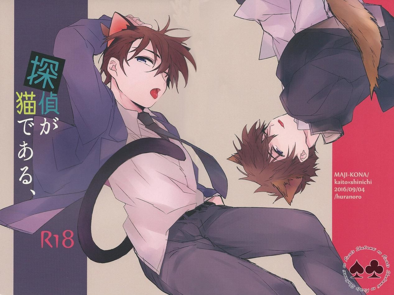 đọc truyện Doujinshi Tổng Hợp Chương 129 ảnh 23 tại Giả Dược