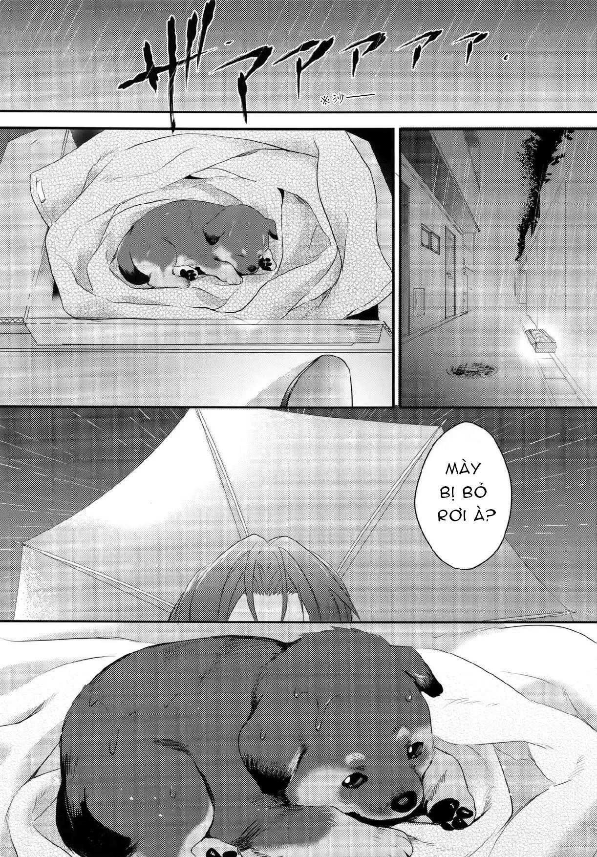 đọc truyện Doujinshi Tổng Hợp Chương 303 ảnh 3 tại Thiên Thai Truyện