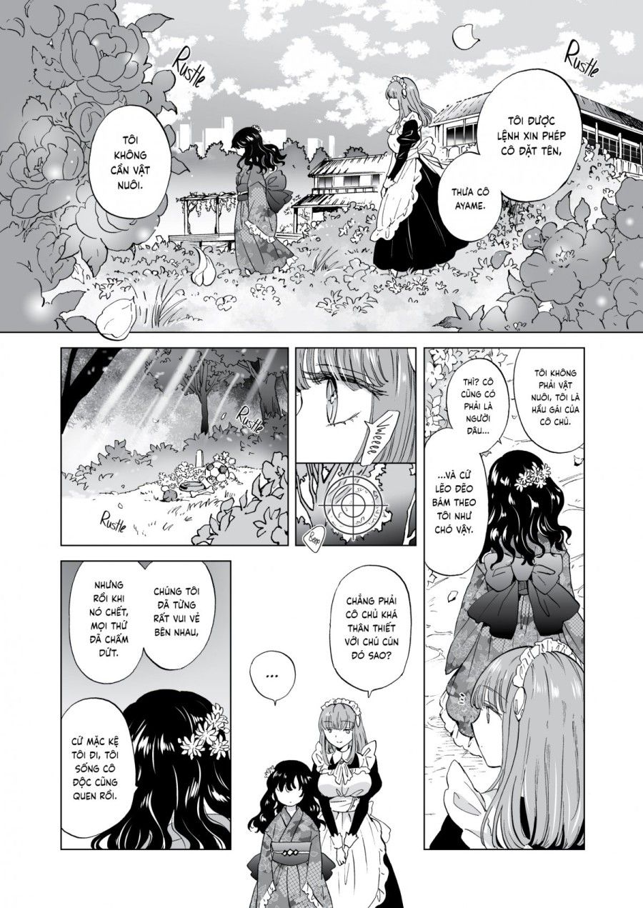 Dream-colored Replica Chương 1 page 6 - Giả Dược