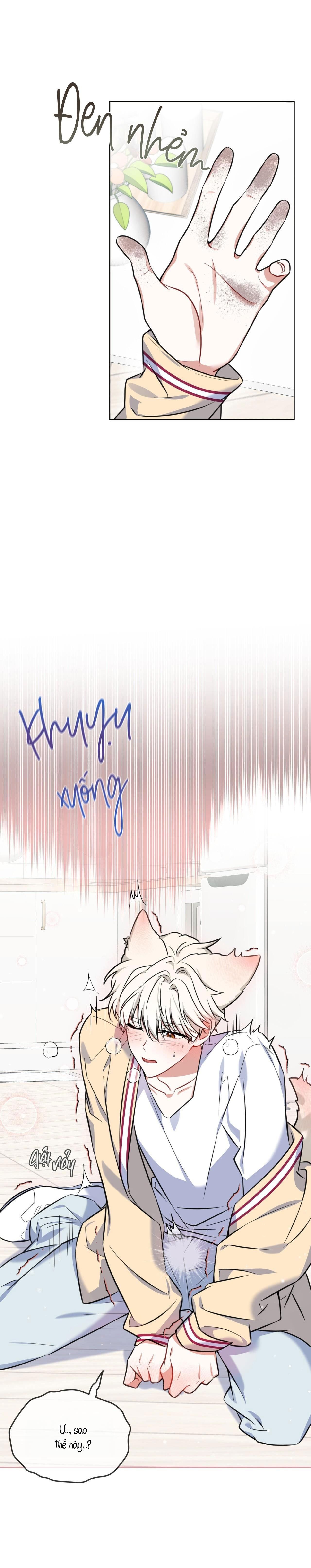 đọc truyện |drop| Tiệm Đồ Uống Của Cáo Flynn Chương 2 ảnh 9 tại Thiên Thai Truyện
