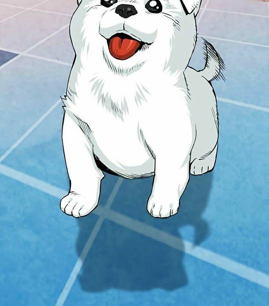 đọc truyện Druid Tại Ga Seoul - Người Hóa Thú Chương 20 ảnh 40 tại Thiên Thai Truyện