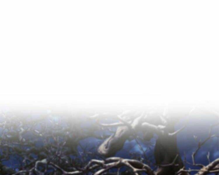 đọc truyện Druid Tại Ga Seoul - Người Hóa Thú Chương 27 ảnh 112 tại Thiên Thai Truyện