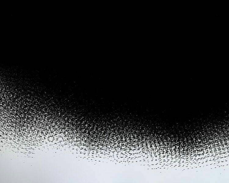 đọc truyện Druid Tại Ga Seoul - Người Hóa Thú Chương 29 ảnh 108 tại Thiên Thai Truyện