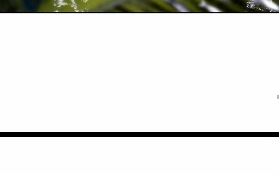 đọc truyện Druid Tại Ga Seoul - Người Hóa Thú Chương 34 ảnh 238 tại Thiên Thai Truyện