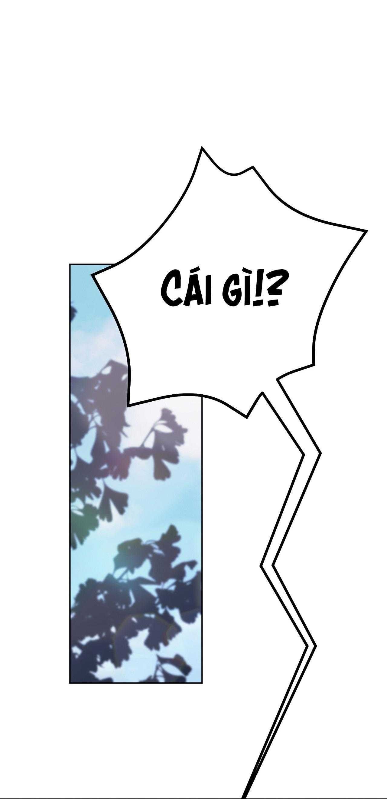 đọc truyện Dự Án Mọt Sách Chương 38 ảnh 18 tại Thiên Thai Truyện