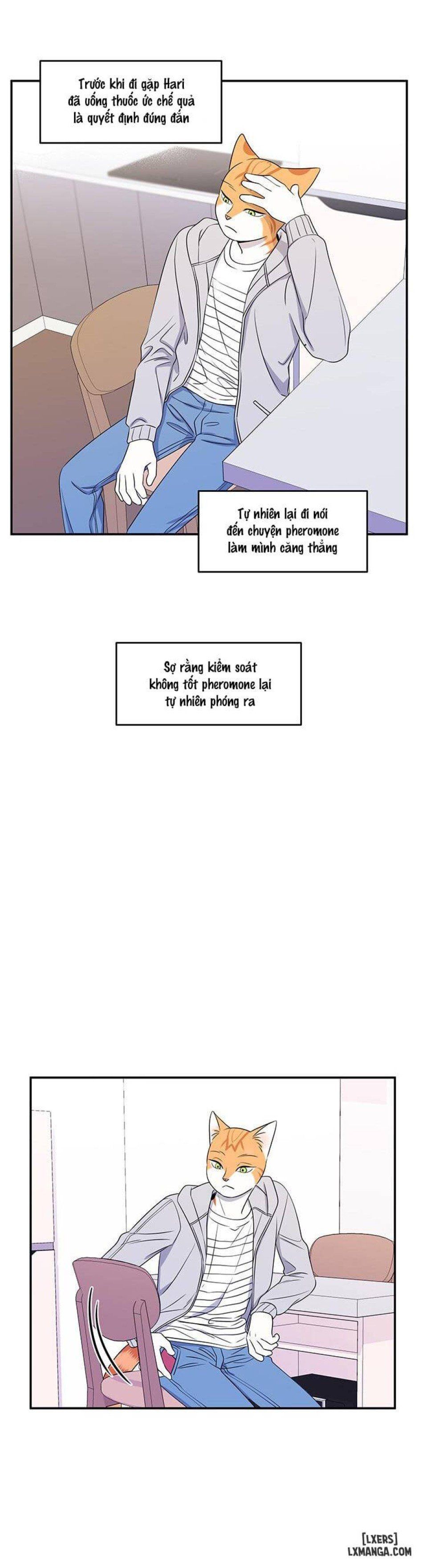 đọc truyện Dự Án Xanh Chương 10 ảnh 3 tại Thiên Thai Truyện